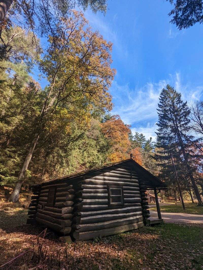 Cook Forest State Park, Cooksburg, Pennsylvania