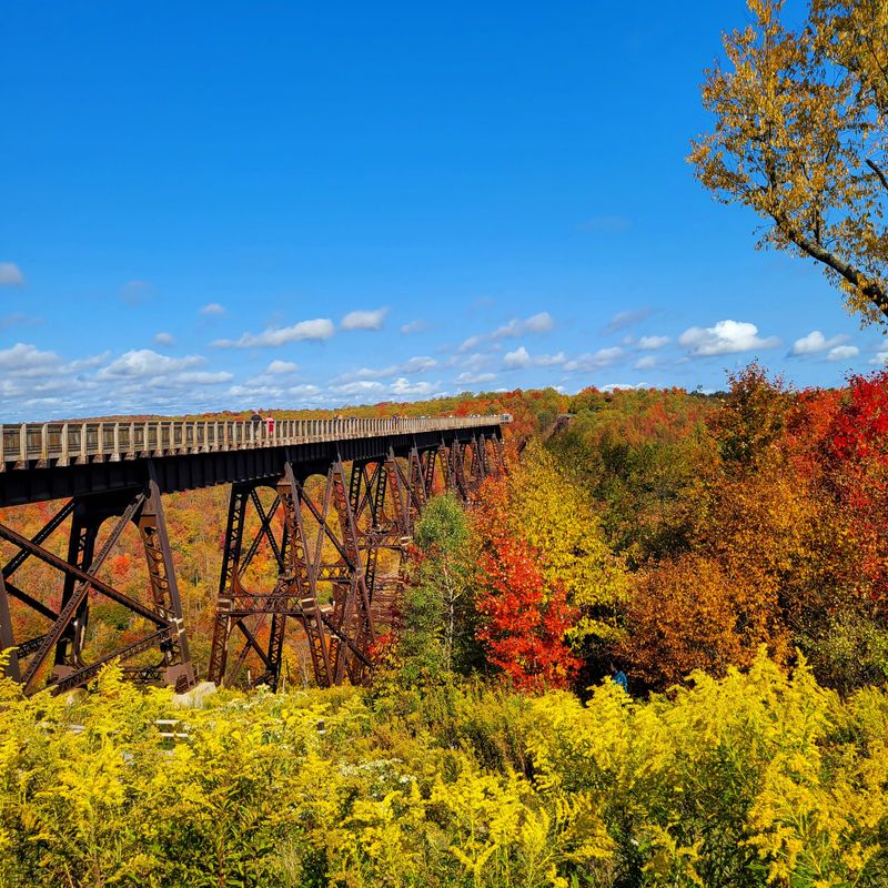 Kinzua Bridge State Park