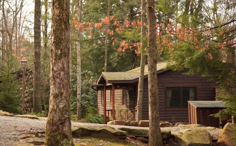 Cook Forest Surroundings Turn Every Meal Into A Destination Experience