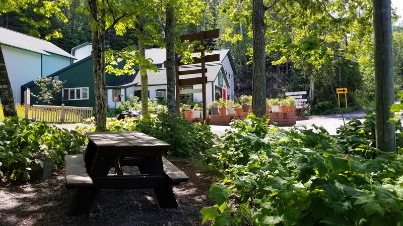 Use The Picnic Tables, Then Walk To Jacob’s Falls