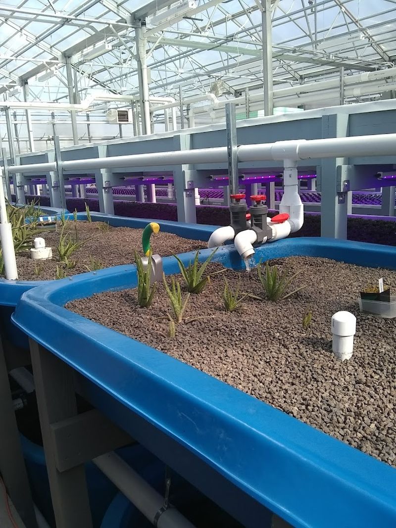 Educational Farm Tours 