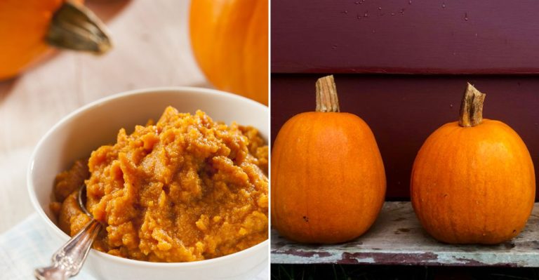 Cooking Mistakes To Avoid with Pumpkins This Fall In Ohio