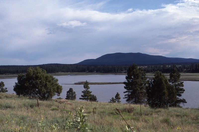 Cool Mountain Air And Pine Country Setting