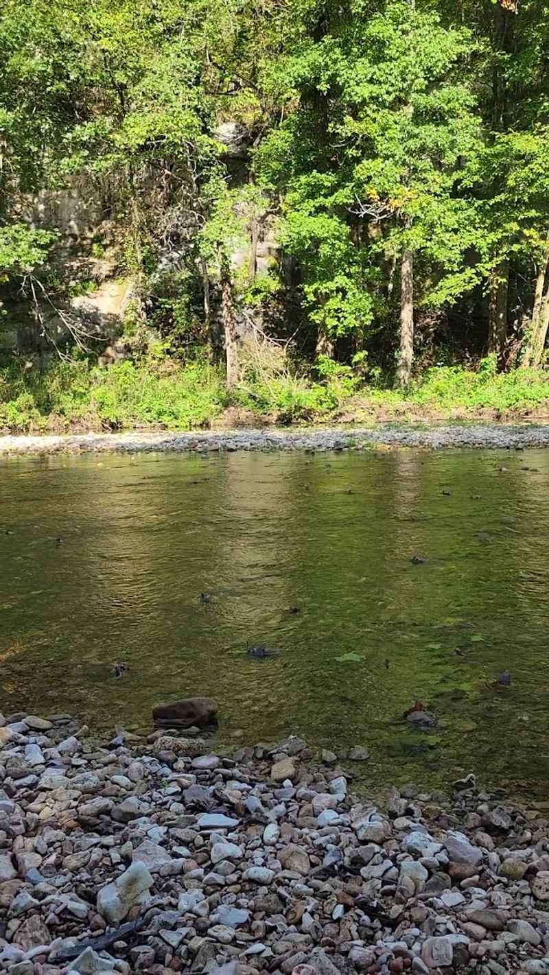 Cool Mountain Water Offers Relief From The Heat