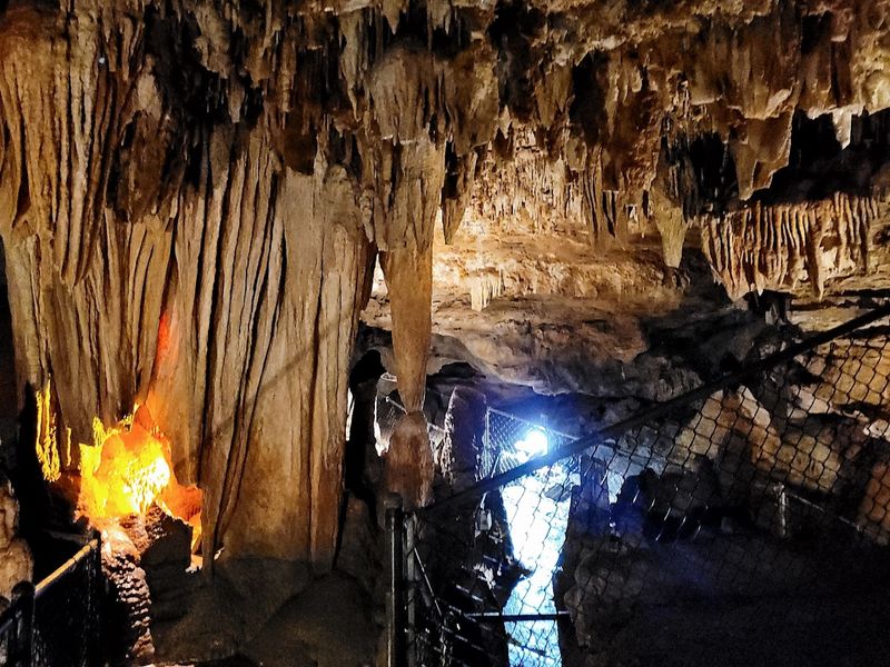 Early Public Tours Establishing A Long Running Attraction