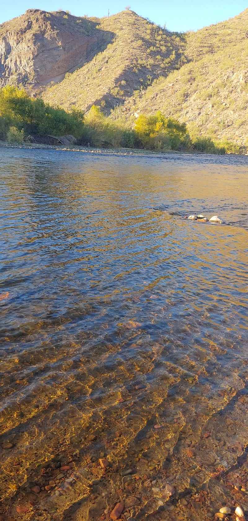 Cool Water on a Blazing Desert Day