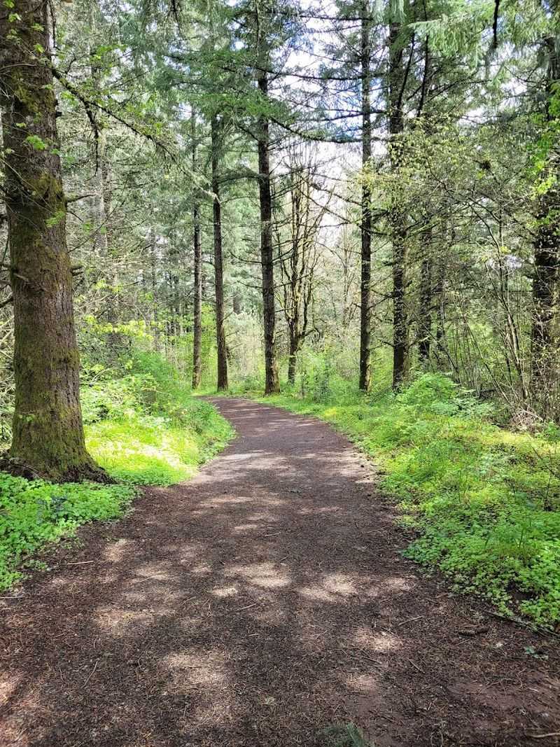 Cooper River Trail