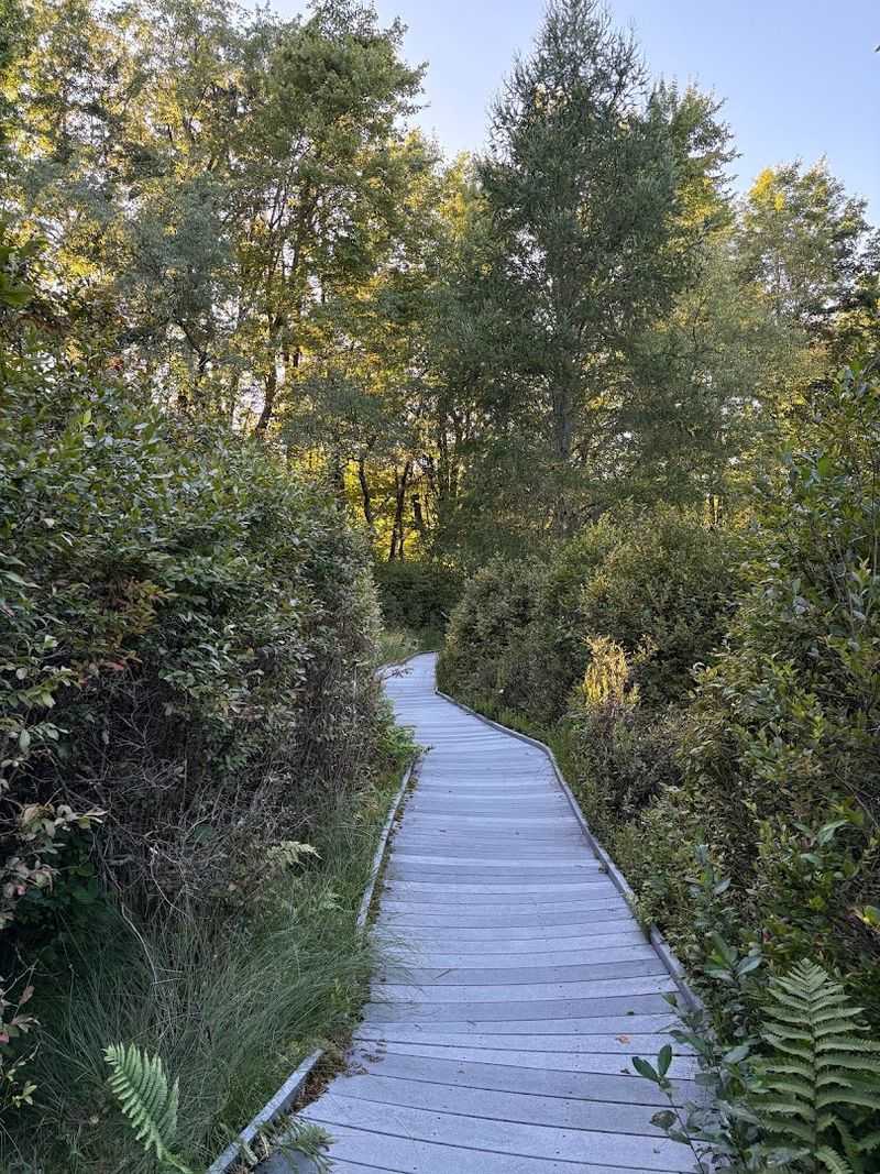 Cooperrider-Kent Bog State Nature Preserve, Kent, Ohio