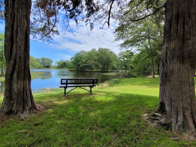 Sudden Surrender That Shifted Control Overnight