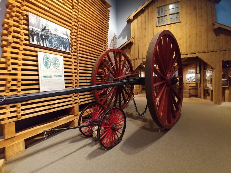 Logging Camps And Pine Resin
