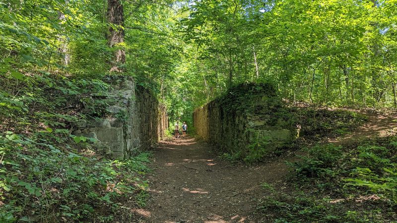 Copperheads Call These Woods Home, So Watch Where You Step
