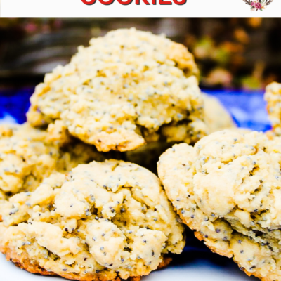 olive oil cookies