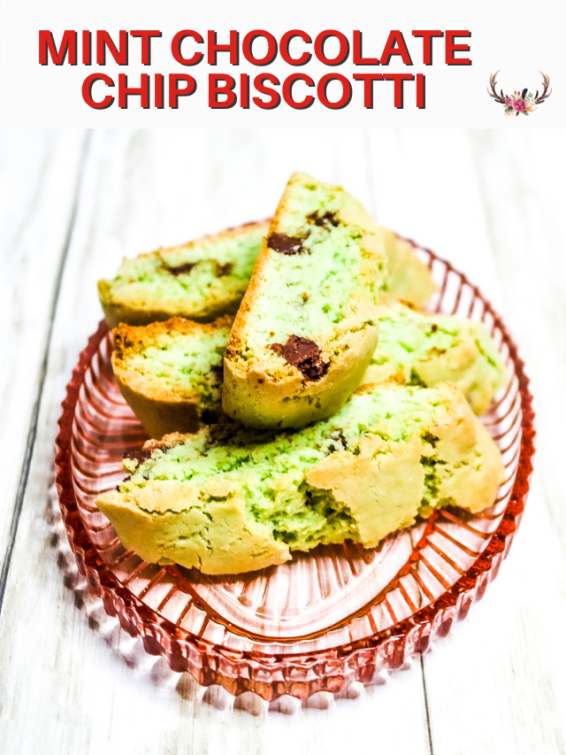 Mint Chocolate chip Biscotti