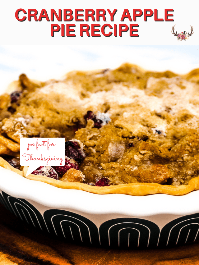 Cranberry Apple Pie Ever After in the Woods