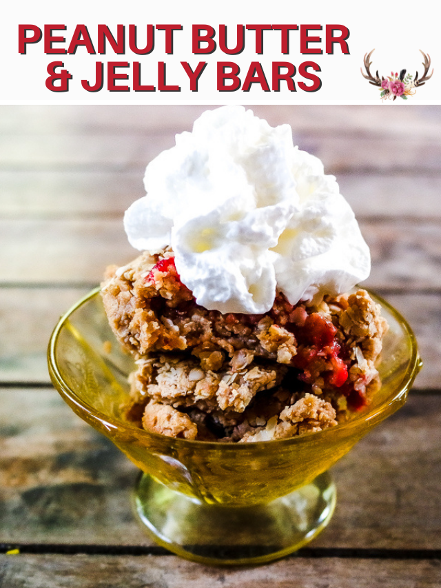 Peanut Butter Jelly Bars
