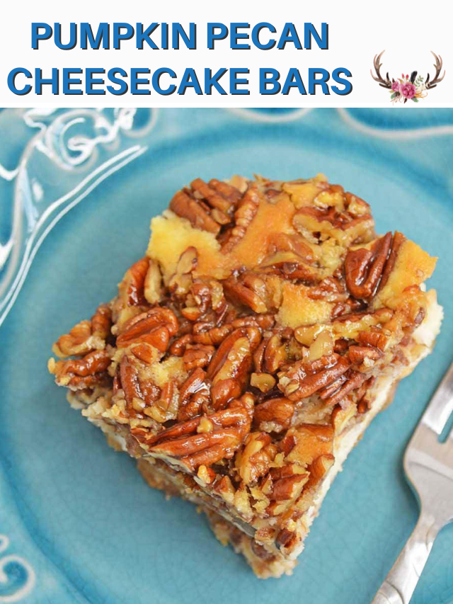 Pumpkin Pecan Cheesecake Bars