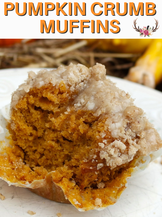pumpkin muffin