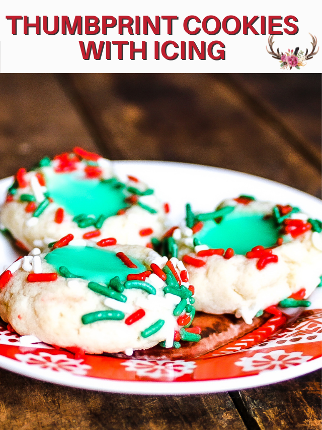 cookie with icing