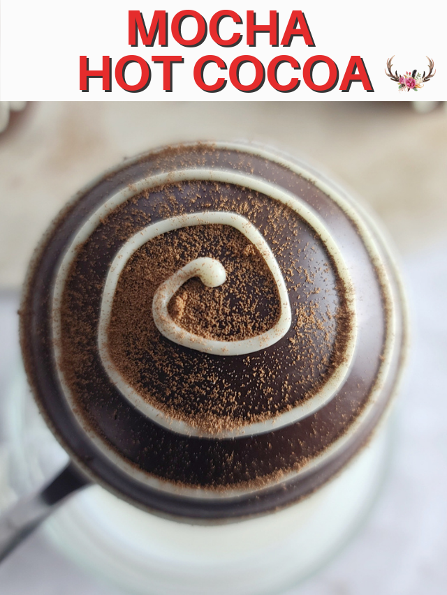 Mocha Hot Cocoa