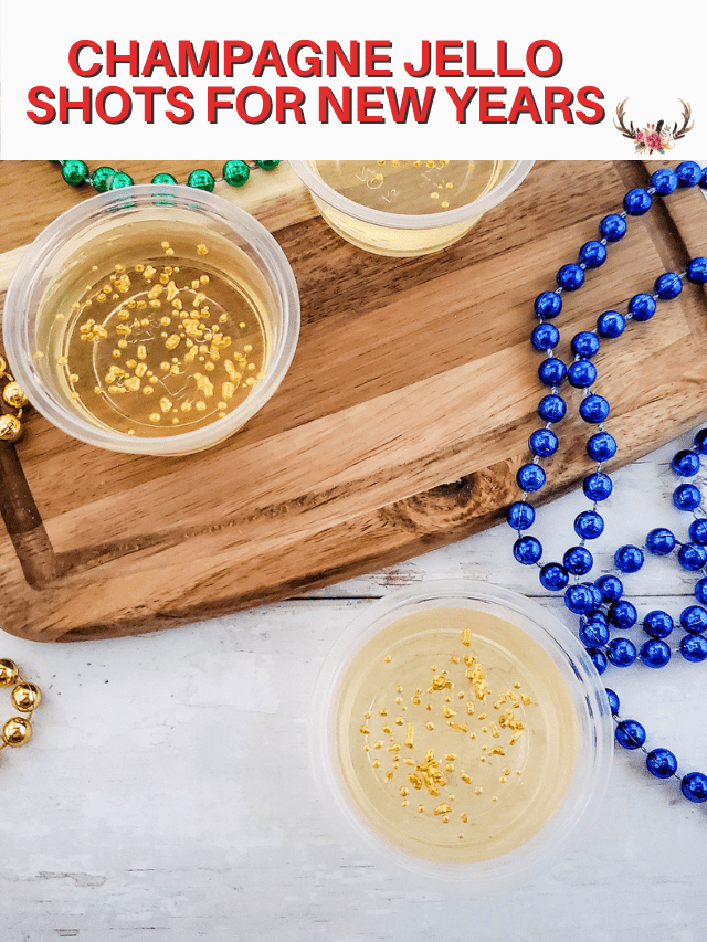 champagne jello shots
