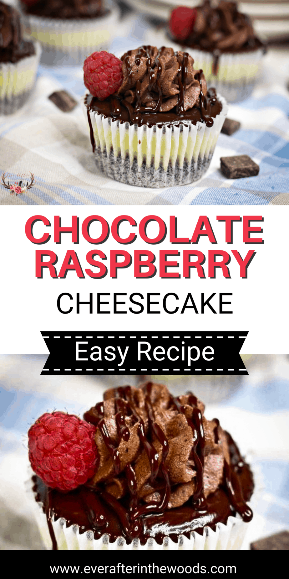 chocolate raspberry cheesecake