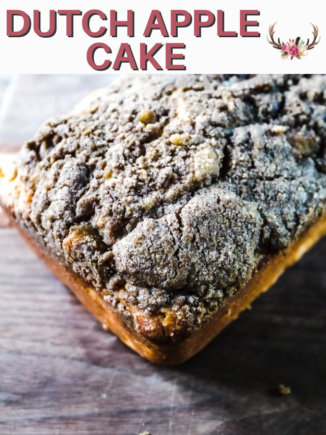 dutch apple cake