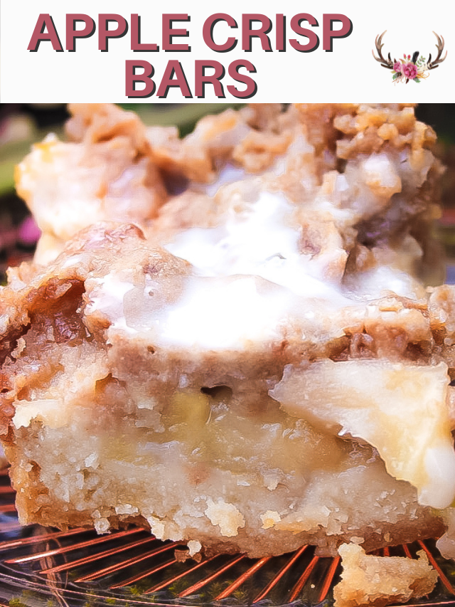 Easy Apple Crisp Bars