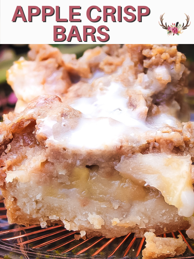 Easy Apple Crisp Bars Ever After in the Woods