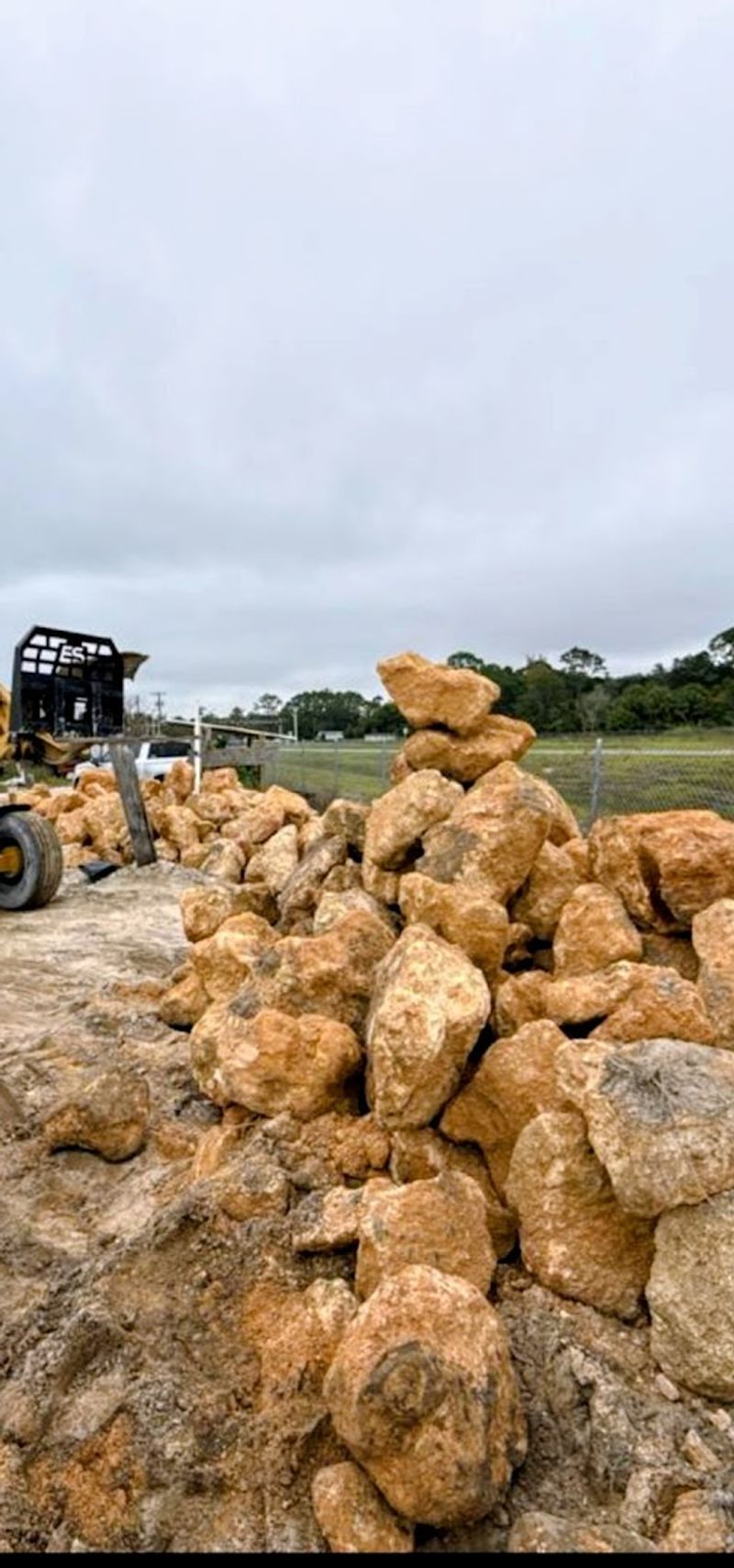 Coquina: The Bizarre Building Material That Saved A City