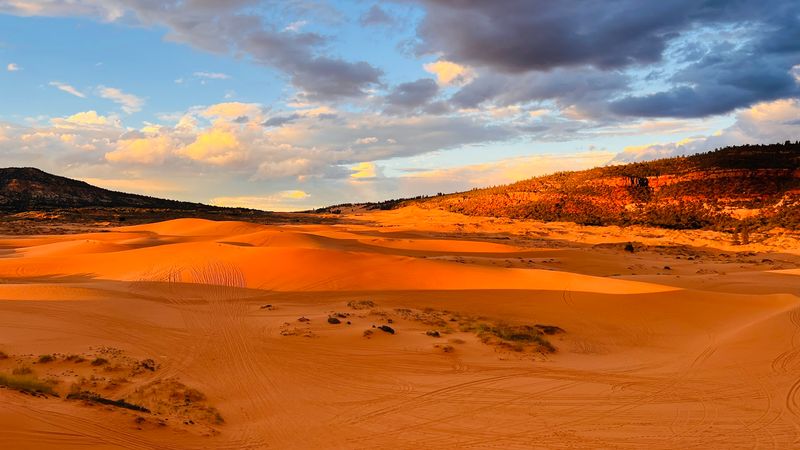Coral Pink Sand Dunes State Park Coral Pink Sand Dunes State Park