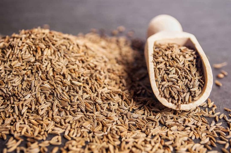 Cumin: Ancient Spice Cabinet