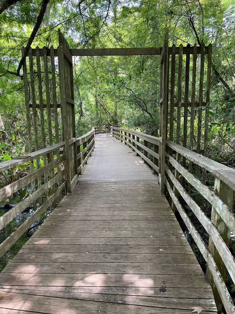 Corkscrew Swamp Sanctuary, Naples