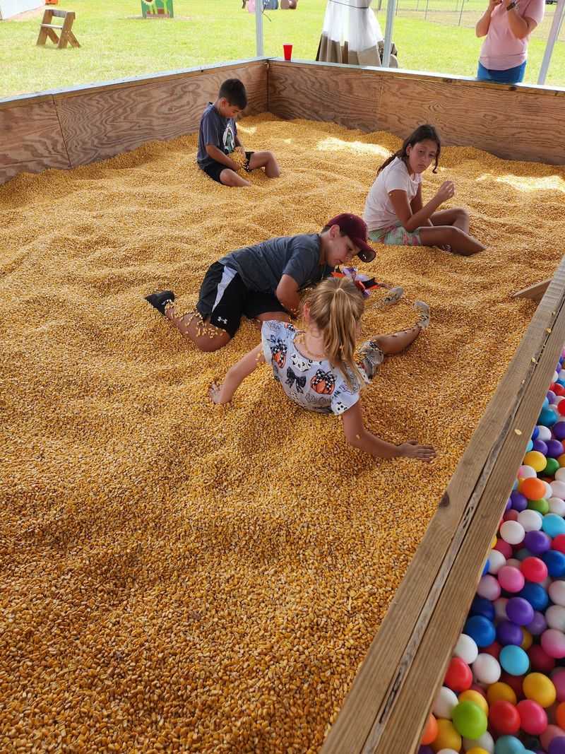 Corn Bins, Mazes, And Pony Rides