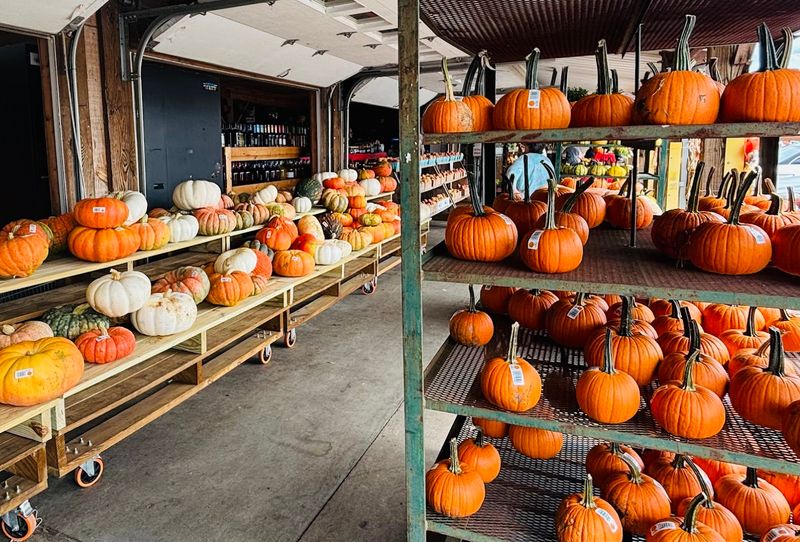 Corn Mazes, Hayrides, And The Sweetest Fall Traditions Corn Mazes, Hayrides, And The Sweetest Fall Traditions