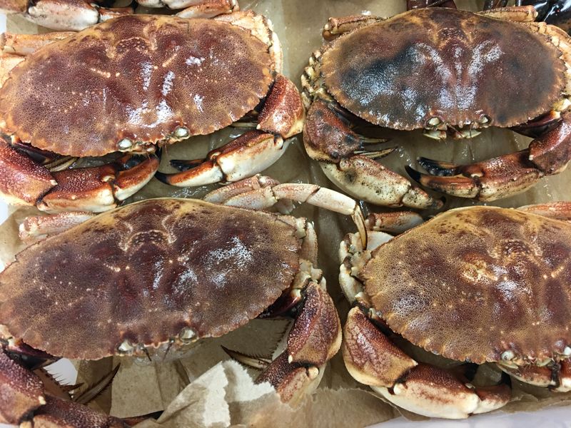 Dungeness Crab for Those Who Know Their Shellfish