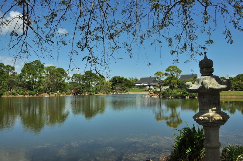 Wildlife Surprises In Urban Setting