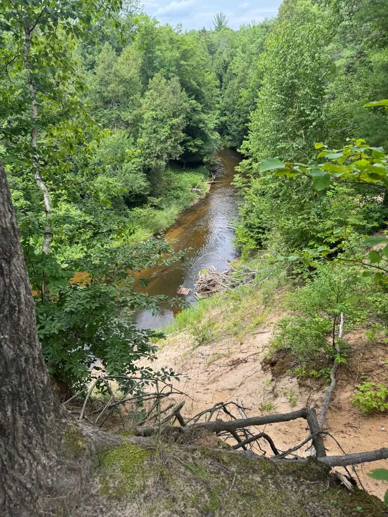Silver Creek Pathway, Manistee National Forest area