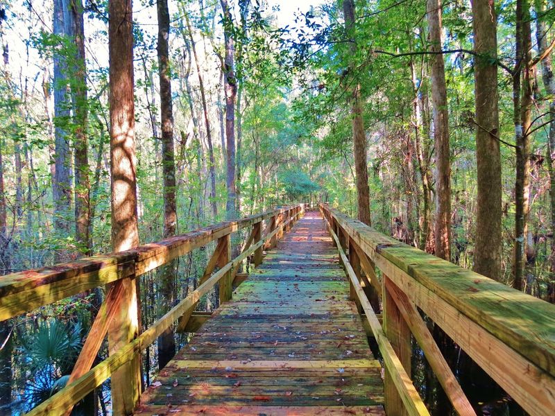 Outdoor Life That Keeps You Moving