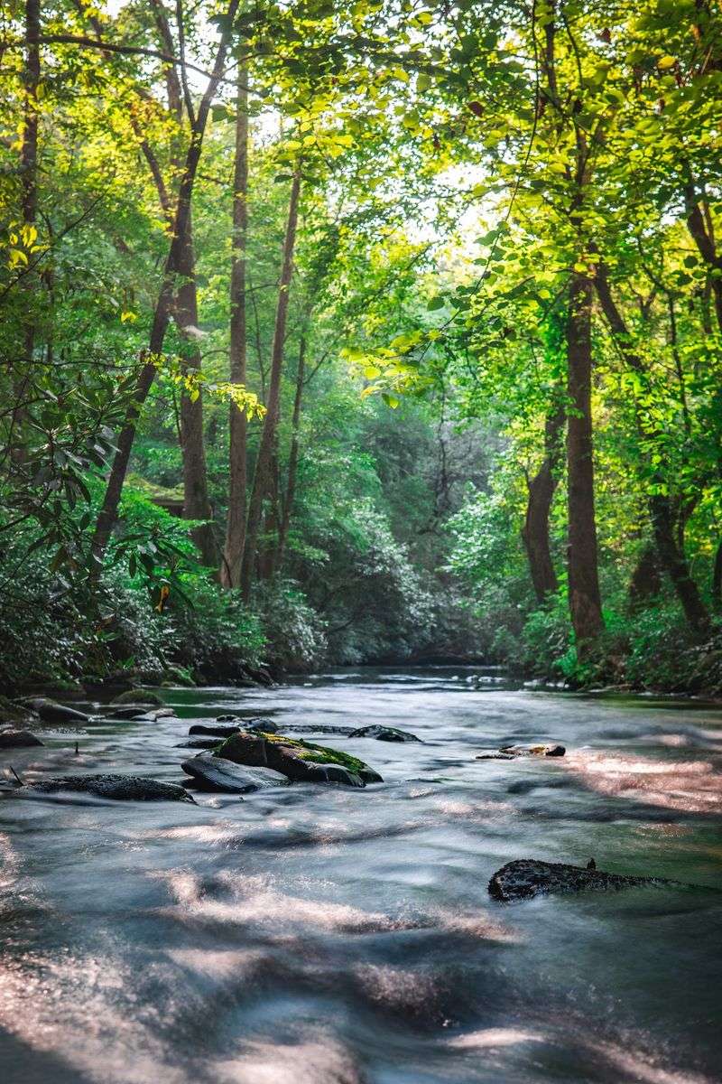 Cottages By The Creek Might Ruin Regular Hotels For You