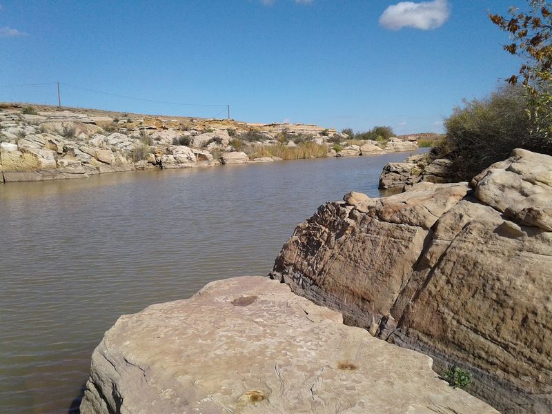 Cotton Fields On A Desert River