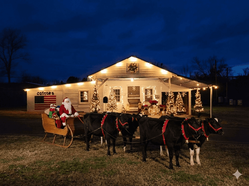 Cotton's Country Store