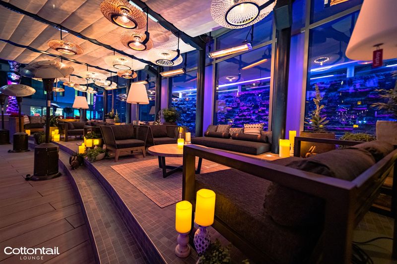 Cottontail Lounge 