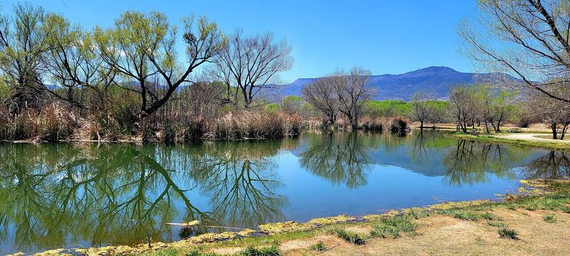 Cottonwood, Arizona