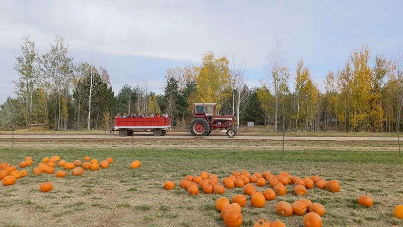 Cottonwood Farms