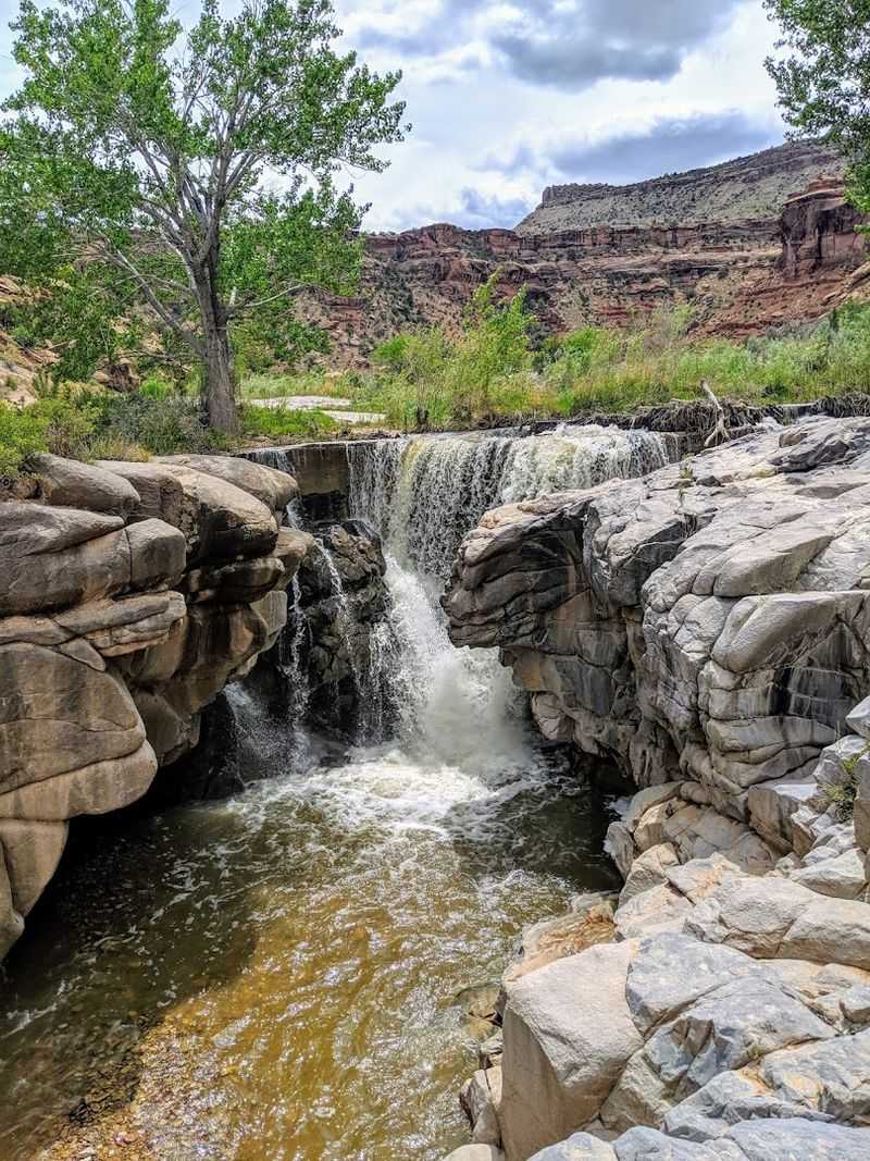 Ancient Voices On Stone: Petroglyphs Along The Canyon Walls