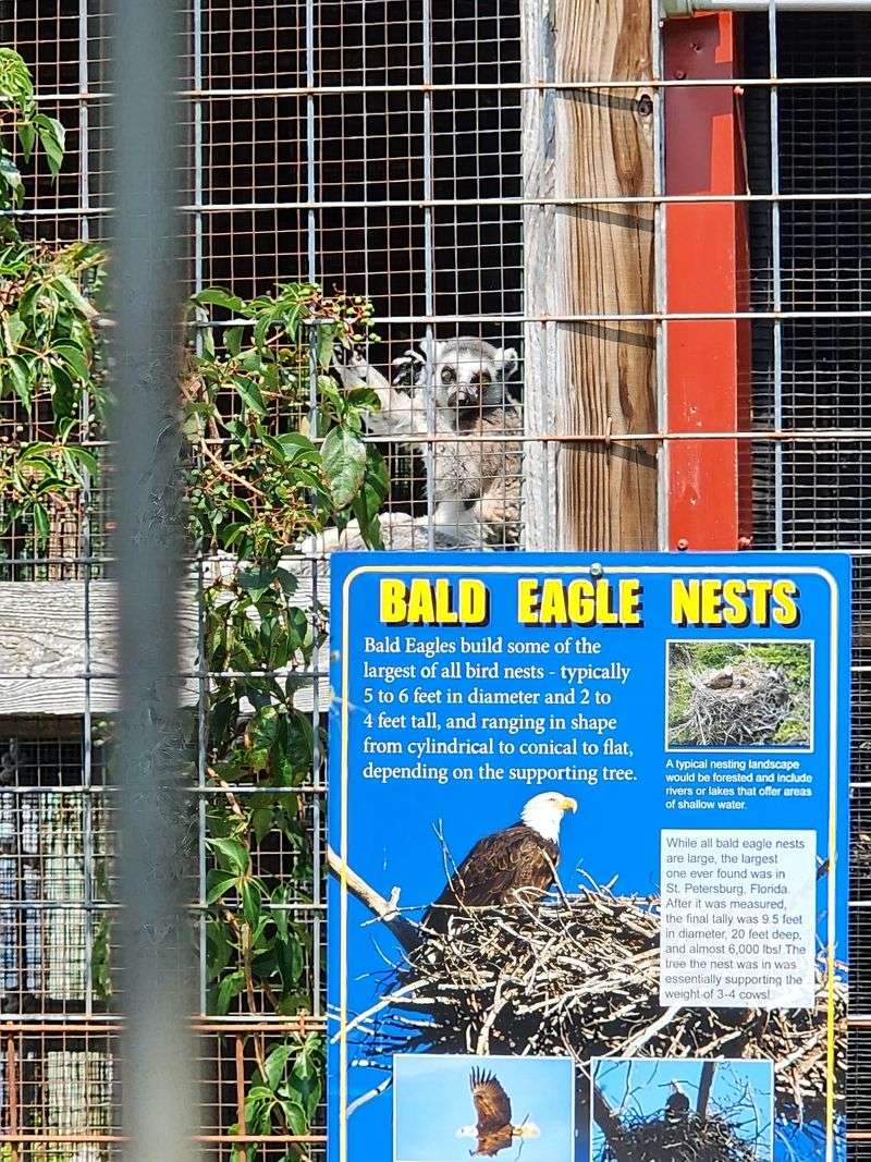 Educational Tours Change Perspectives