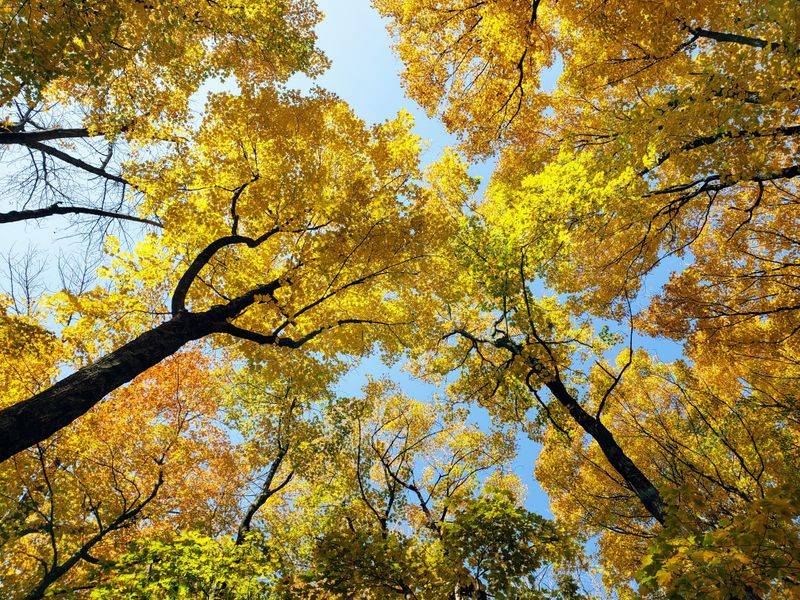 Blue Mound State Park, Blue Mounds