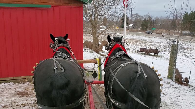Antler Ridge Farms, Traverse City Area (Williamsburg/TC Region)