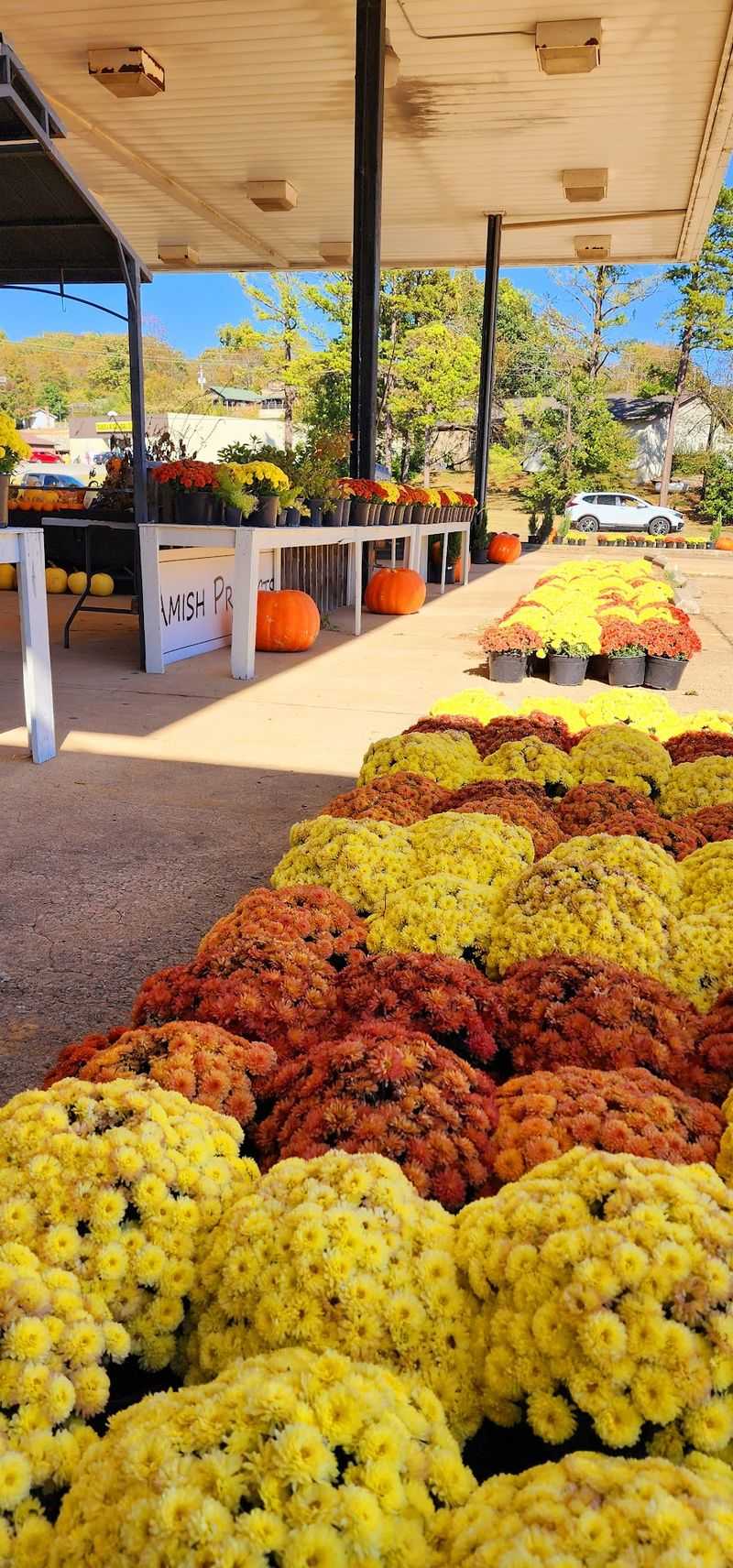 Country Goods Go Well Beyond Food
