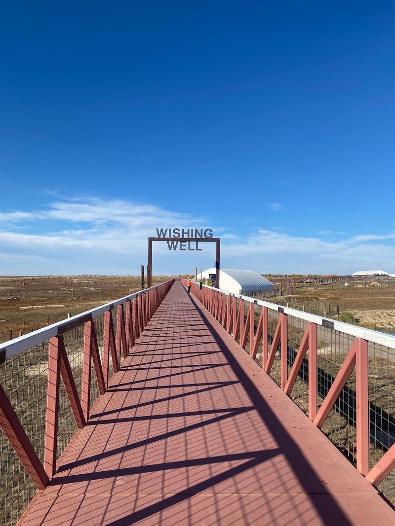 Couples And Solo Visitors Get A Slower Kind Of Outing